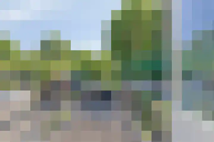 Alteveerstraat 49 Assen thumbnail 31