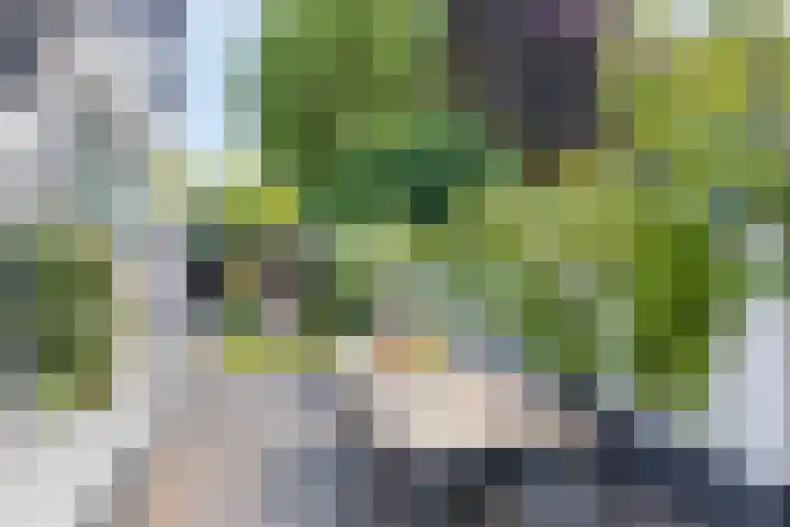 Alteveerstraat 49 Assen thumbnail 35