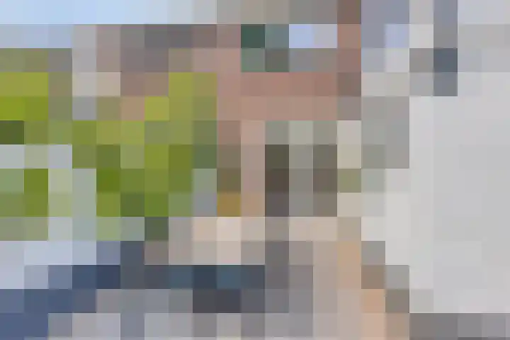Alteveerstraat 49 Assen thumbnail 36