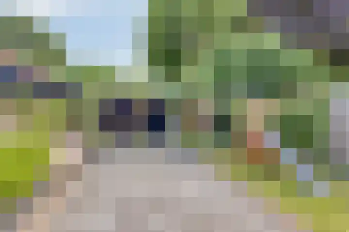 Alteveerstraat 49 Assen thumbnail 37