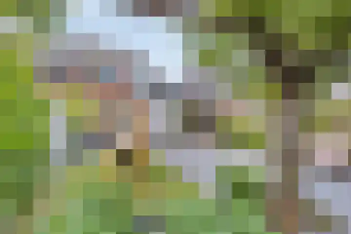 Alteveerstraat 49 Assen thumbnail 39