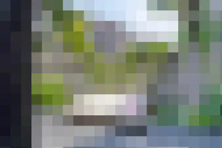 Alteveerstraat 49 Assen thumbnail 42