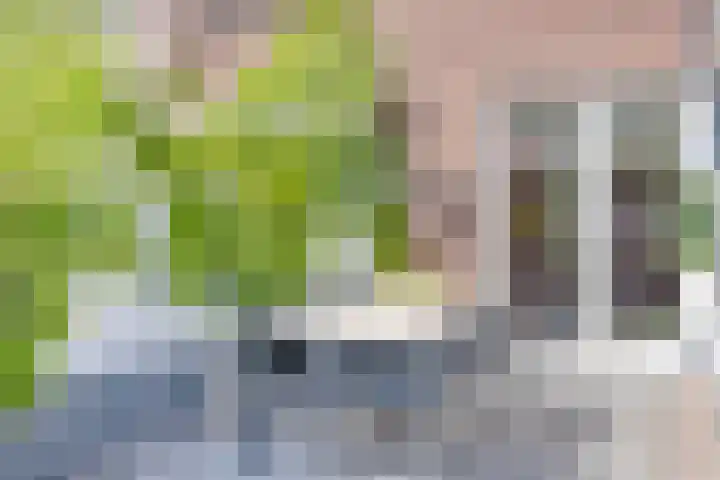 Alteveerstraat 49 Assen thumbnail 44