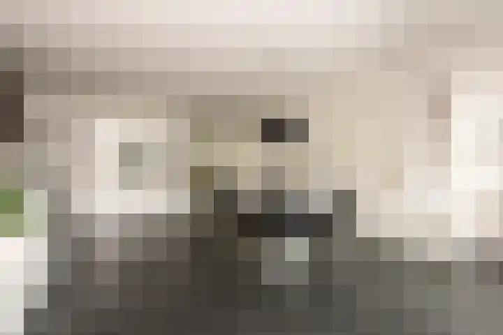 Alteveerstraat 8 Tilburg thumbnail 12