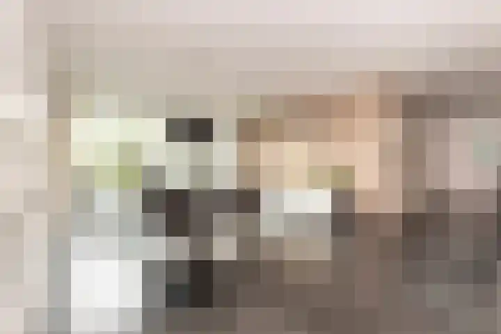 Alteveerstraat 8 Tilburg thumbnail 13