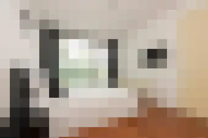 Alteveerstraat 8 Tilburg thumbnail 19