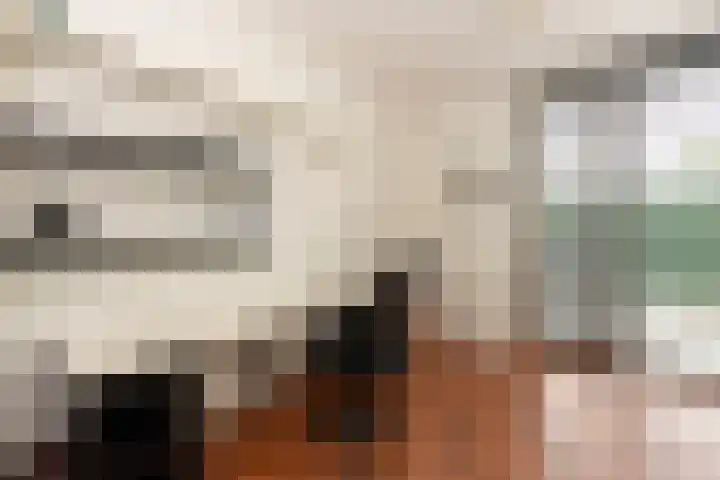 Alteveerstraat 8 Tilburg thumbnail 23