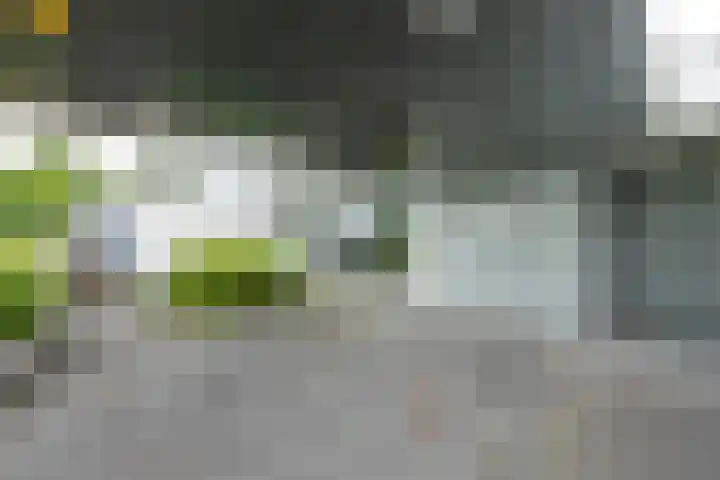 Alteveerstraat 8 Tilburg thumbnail 30