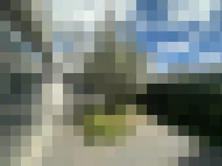 Alteveerstraat 8 Tilburg thumbnail 31