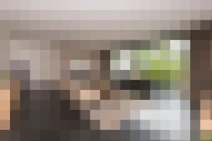 Alteveerstraat 8 Tilburg thumbnail 9