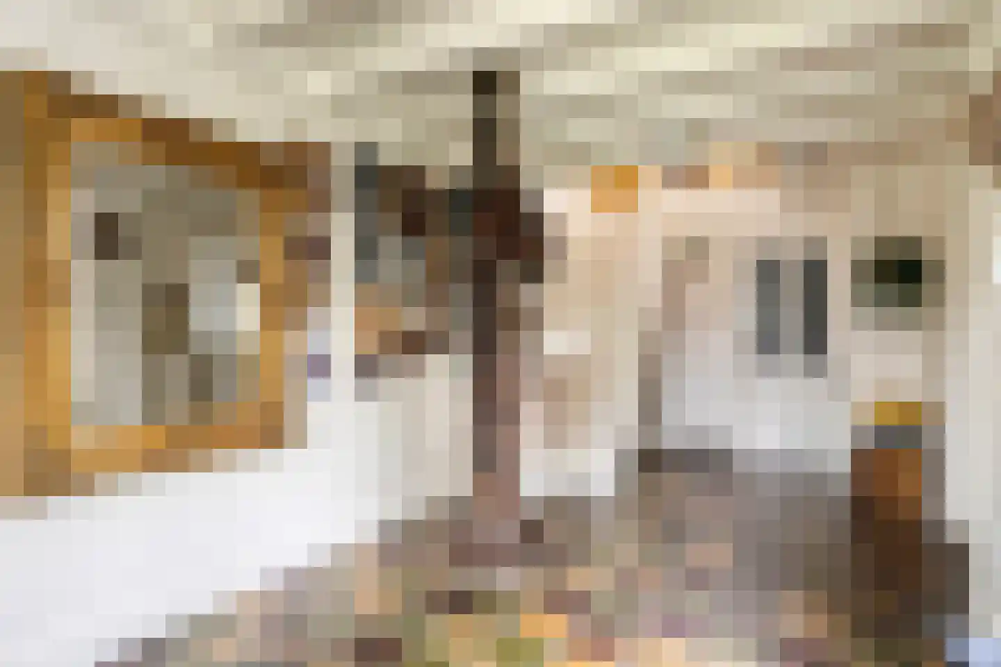 Alteveersweg 30 Boijl thumbnail 10