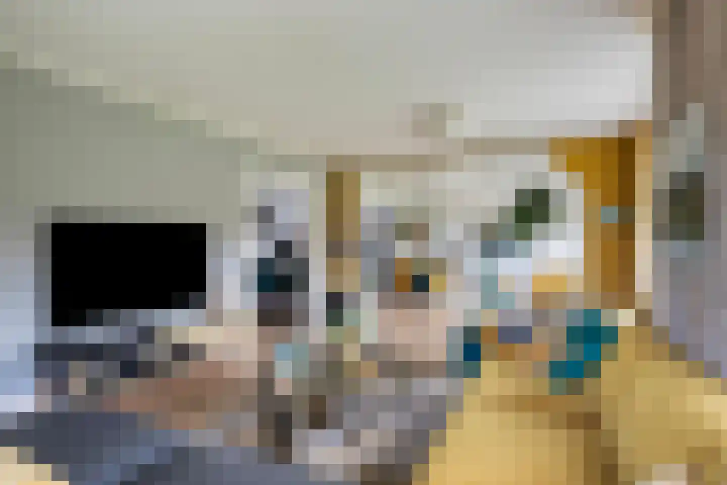 Alteveersweg 30 Boijl thumbnail 12