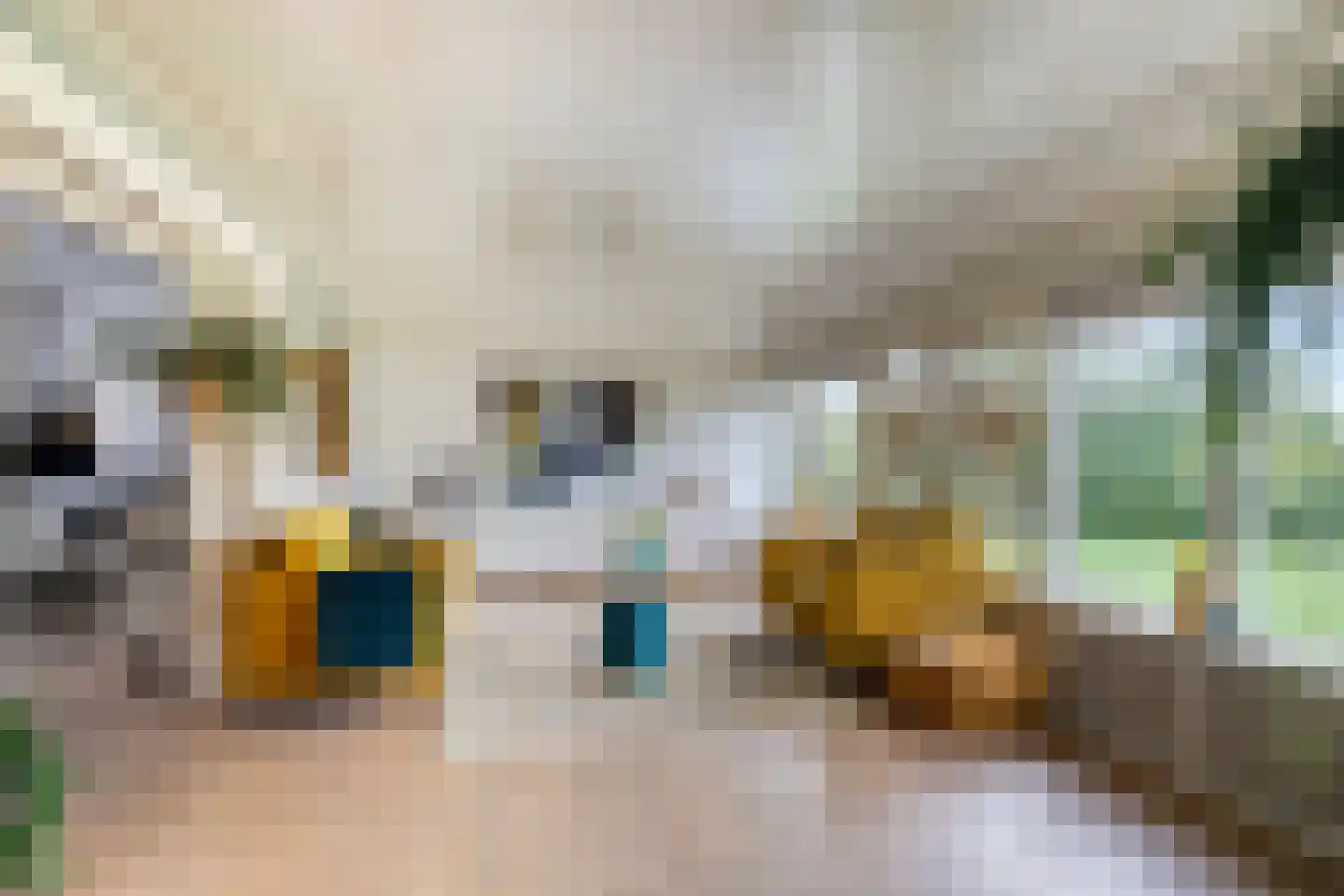 Alteveersweg 30 Boijl thumbnail 14