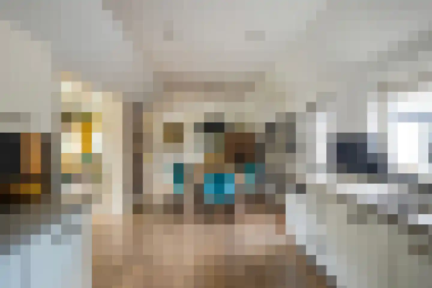Alteveersweg 30 Boijl thumbnail 20