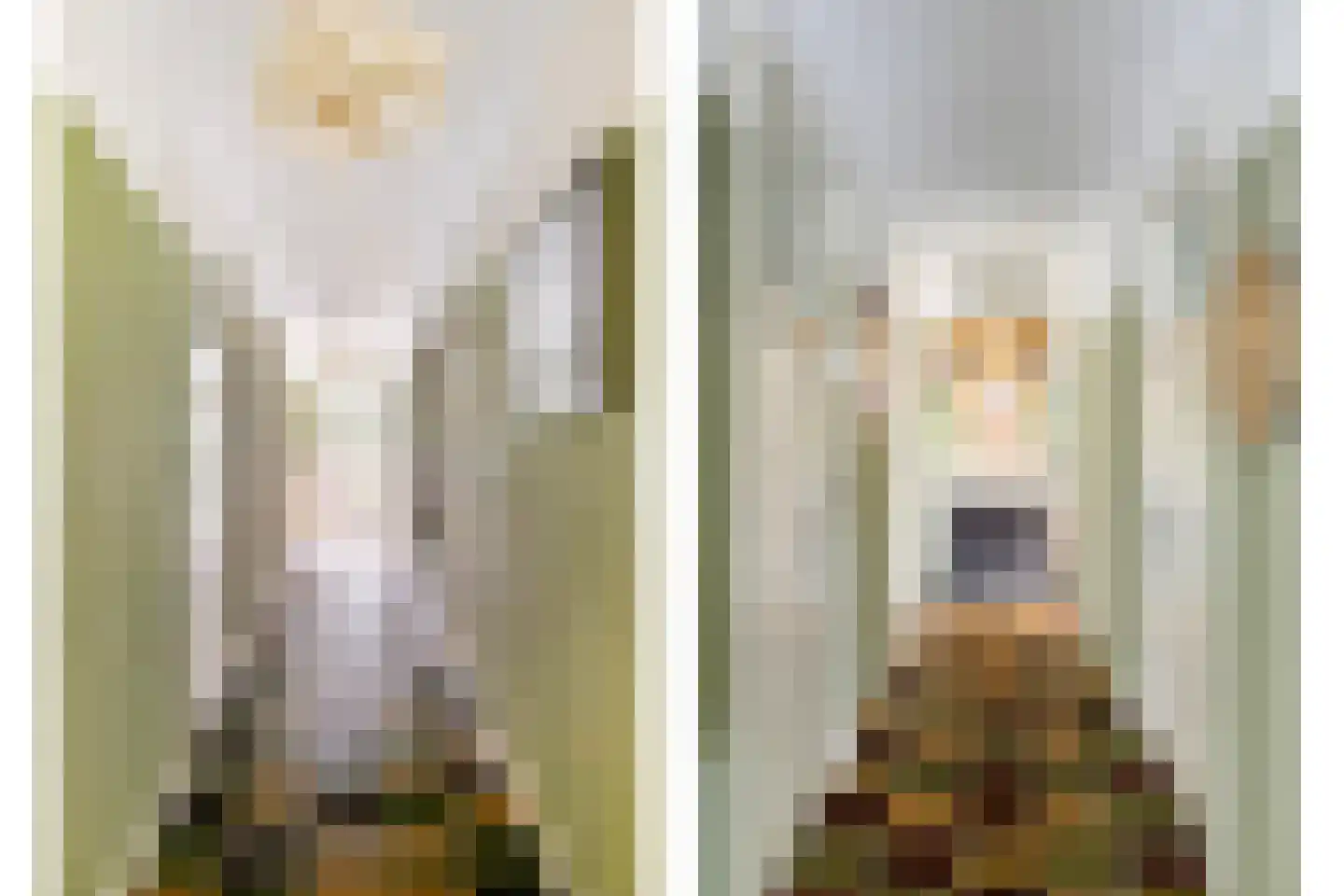 Alteveersweg 30 Boijl thumbnail 22