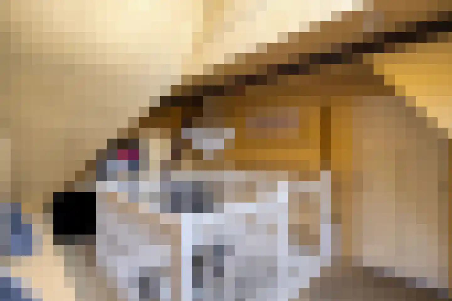 Alteveersweg 30 Boijl thumbnail 32