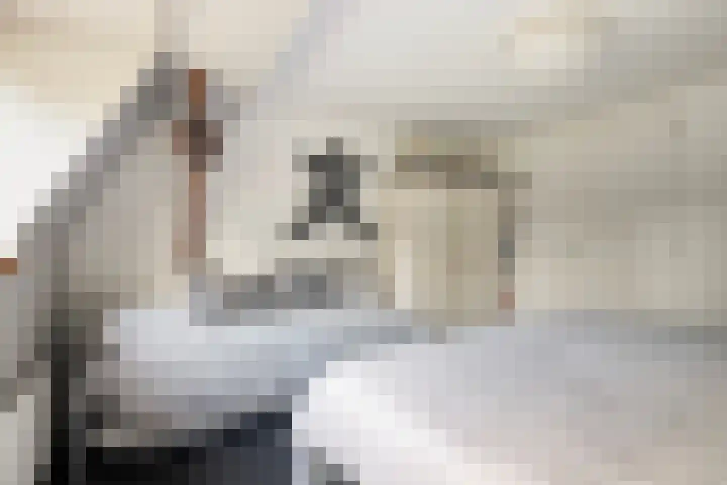 Alteveersweg 30 Boijl thumbnail 34