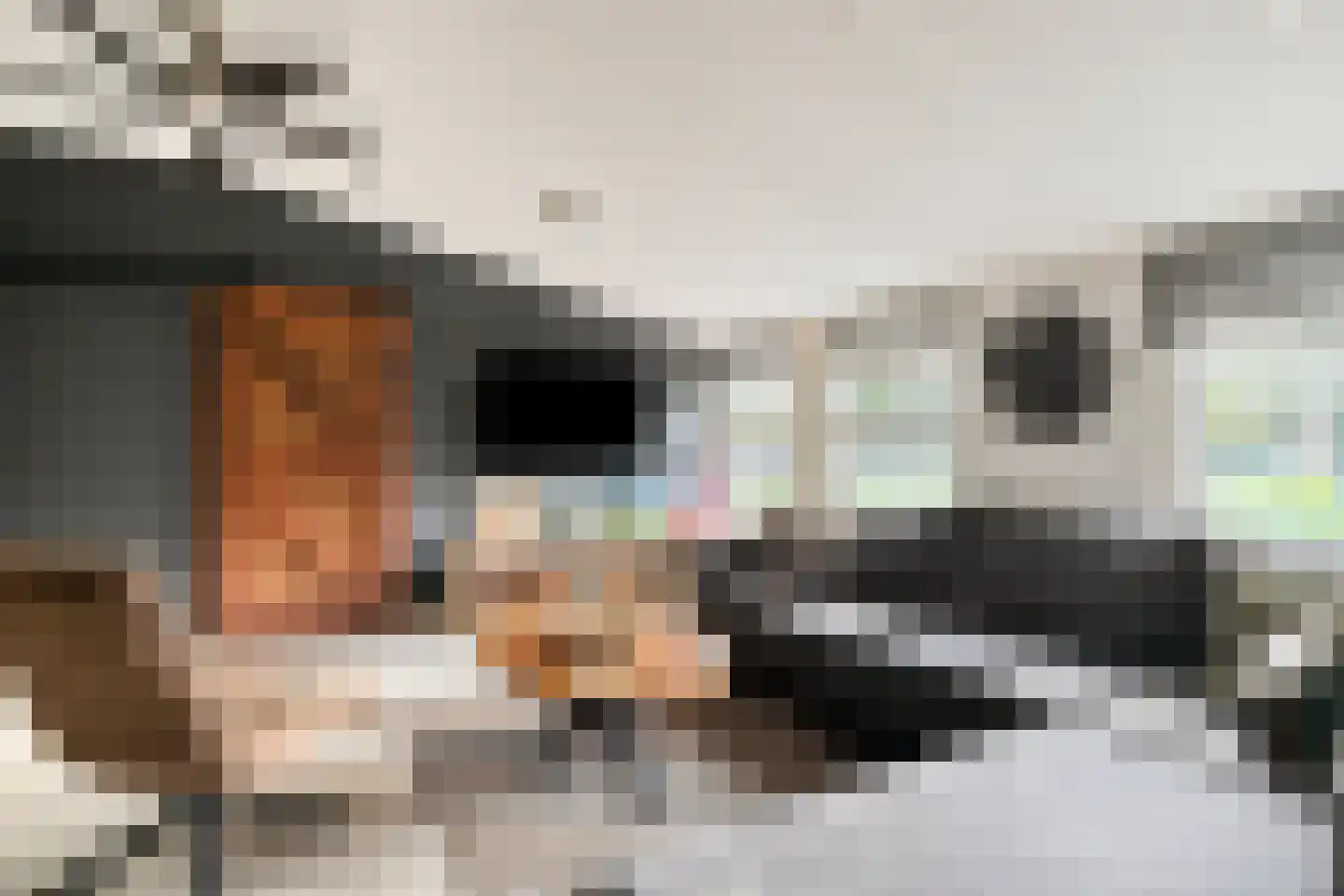 Alteveersweg 30 Boijl thumbnail 42