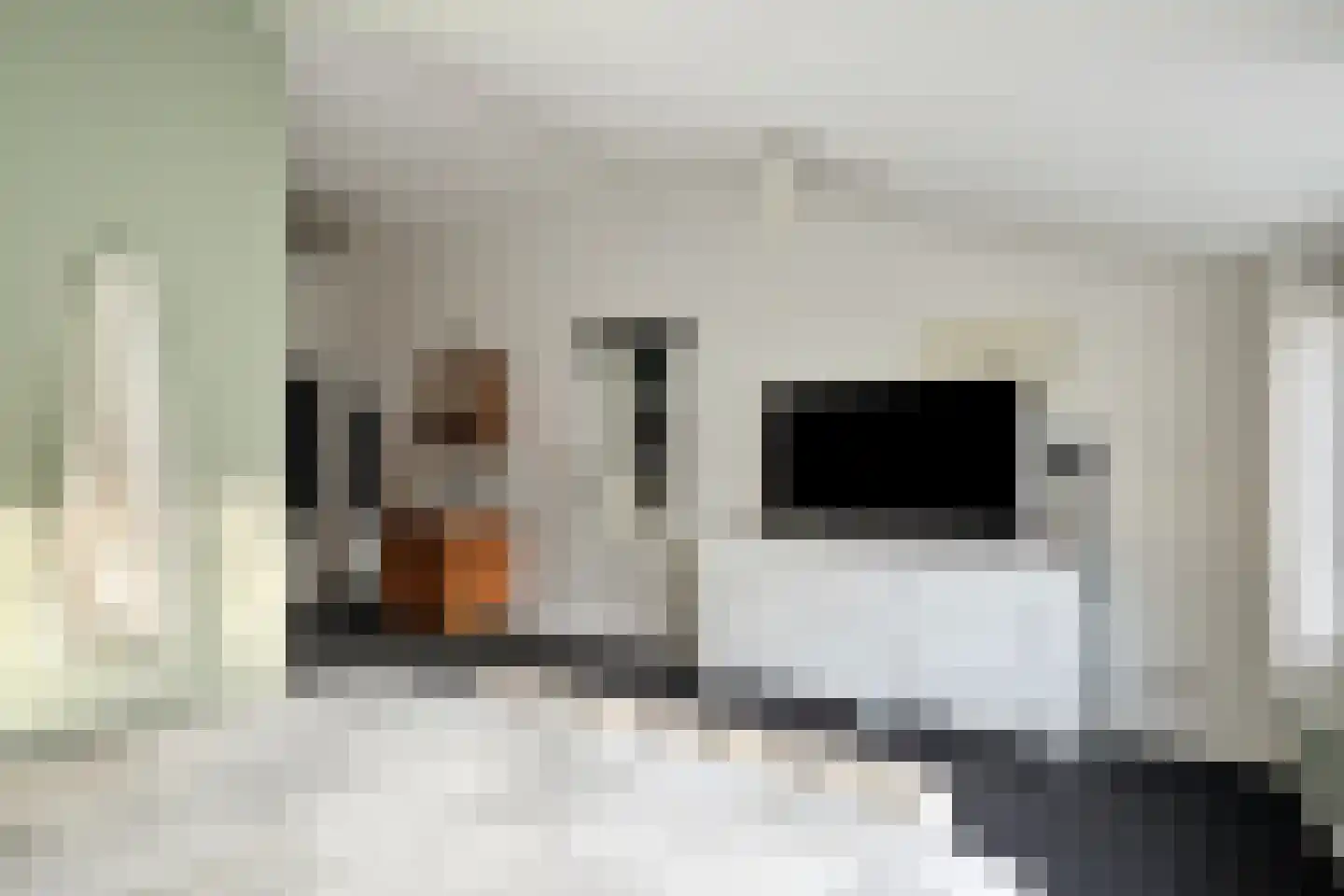 Alteveersweg 30 Boijl thumbnail 49