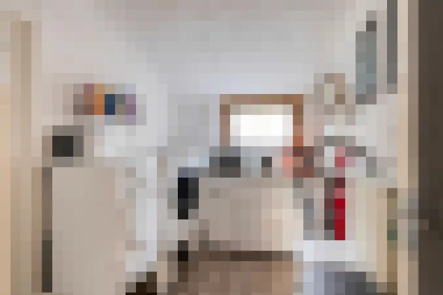 Alteveersweg 30 Boijl thumbnail 51