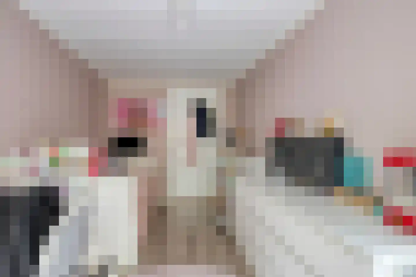 Alteveersweg 30 Boijl thumbnail 57