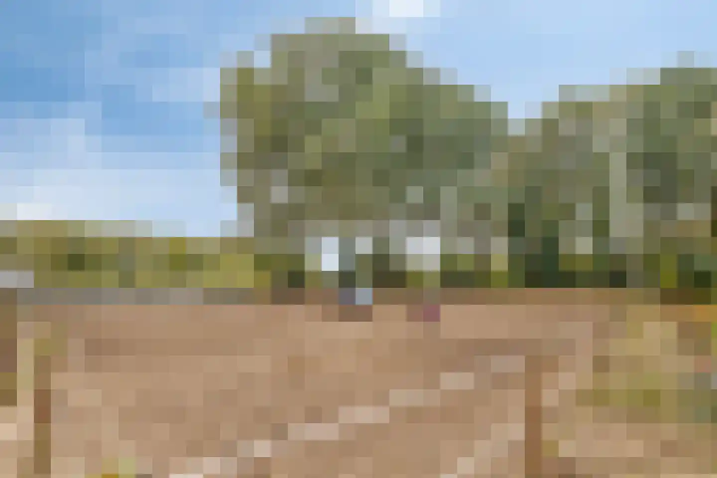 Alteveersweg 30 Boijl thumbnail 62