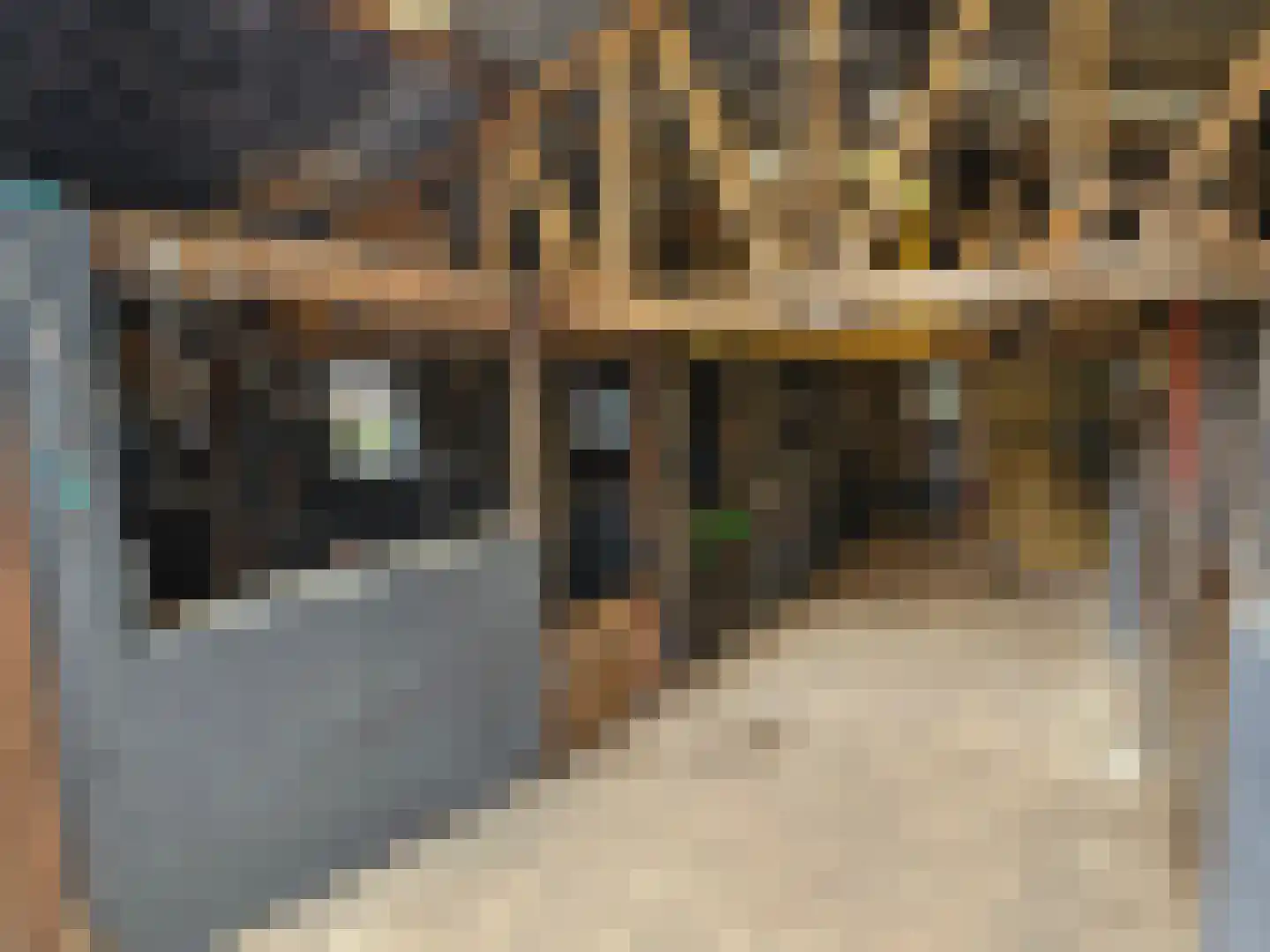 Alteveersweg 30 Boijl thumbnail 63