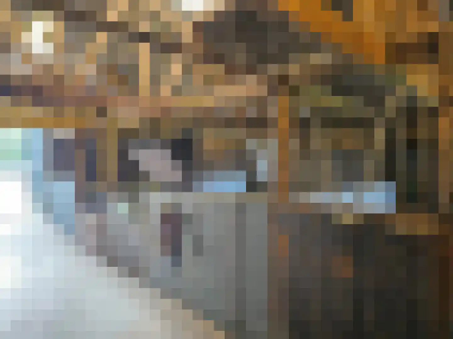 Alteveersweg 30 Boijl thumbnail 64
