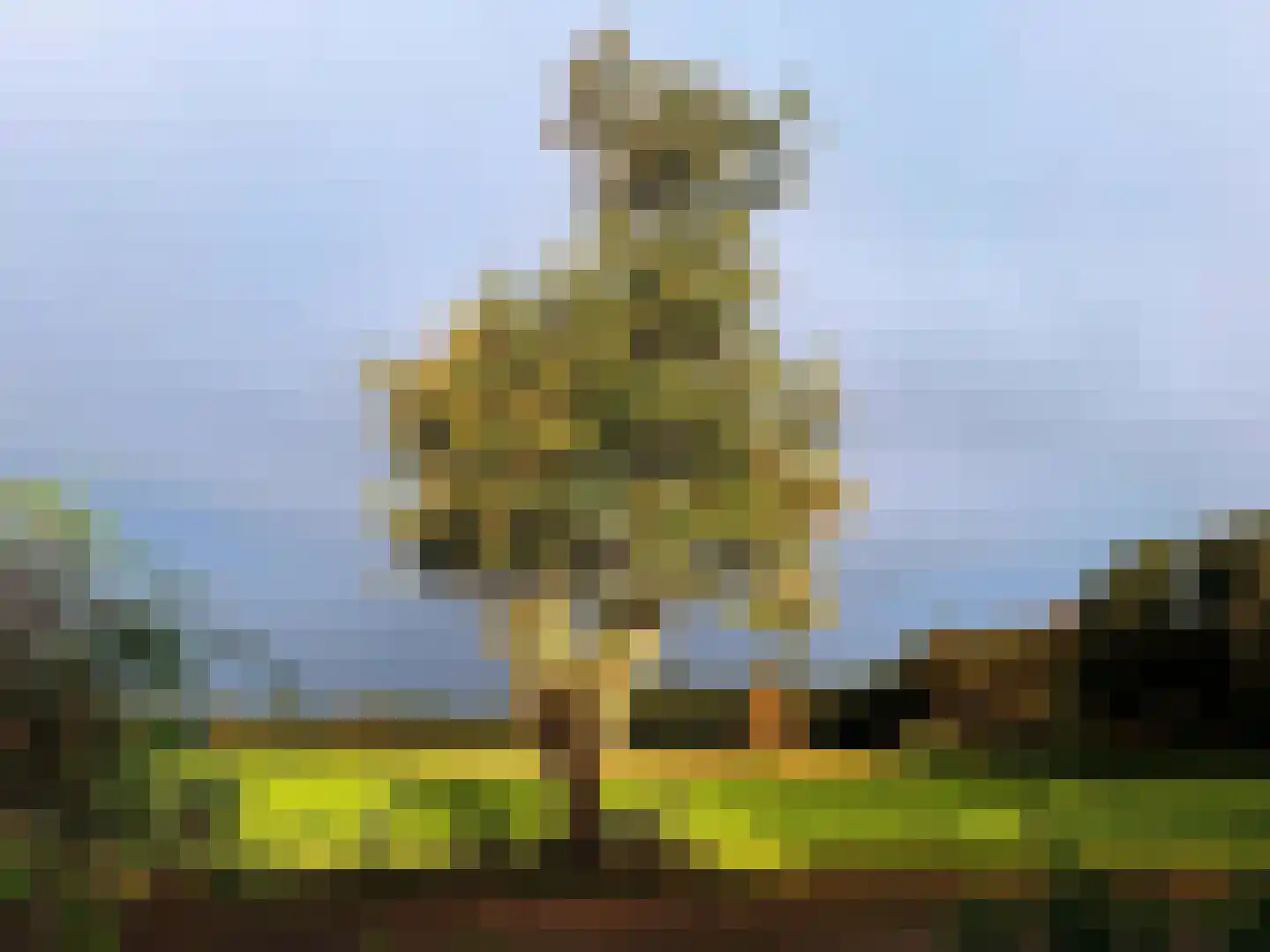 Alteveersweg 30 Boijl thumbnail 72
