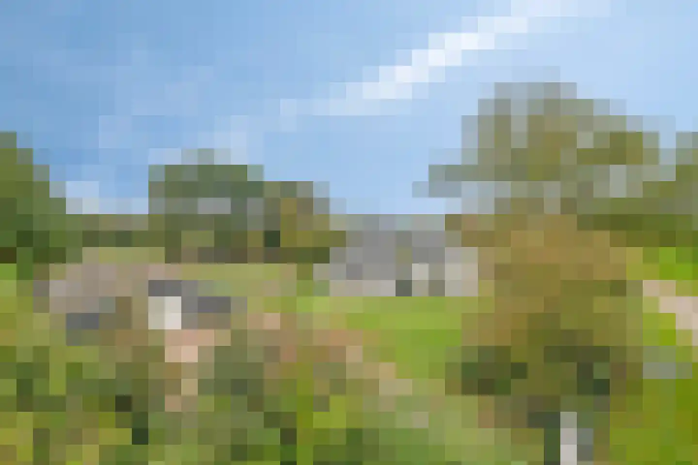 Alteveersweg 30 Boijl thumbnail 74