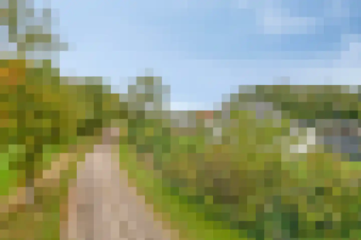 Alteveersweg 30 Boijl thumbnail 75