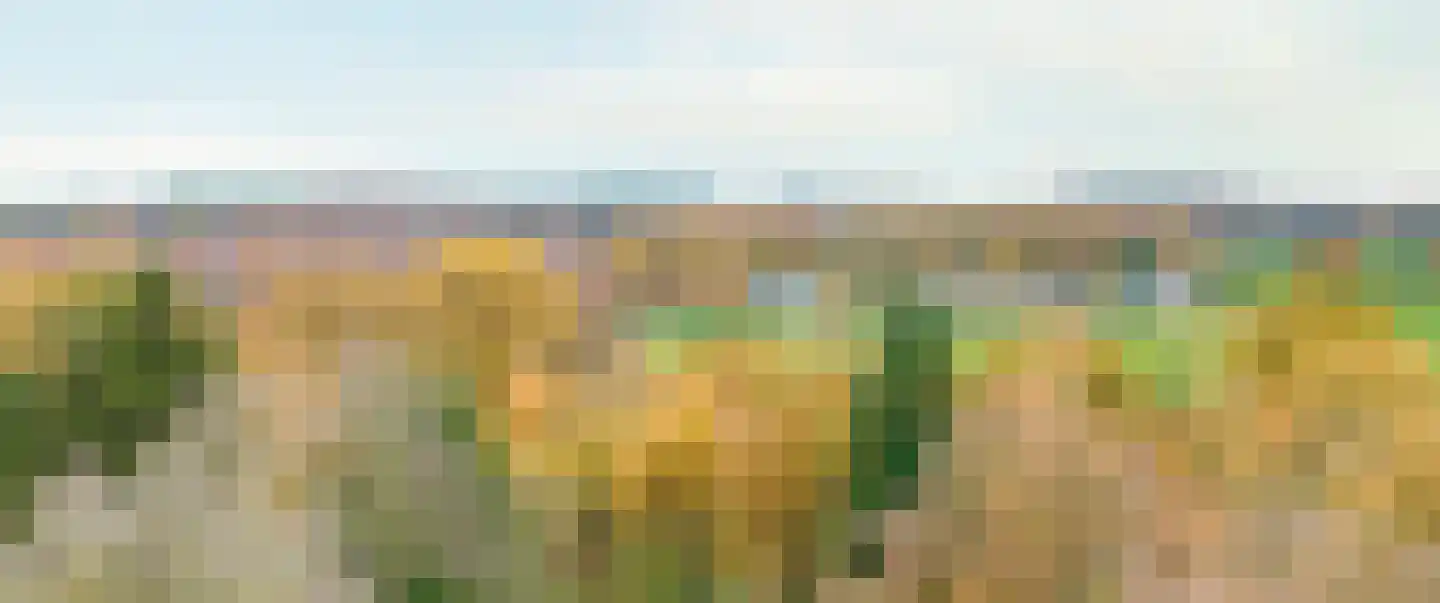 Alteveersweg 30 Boijl thumbnail 76