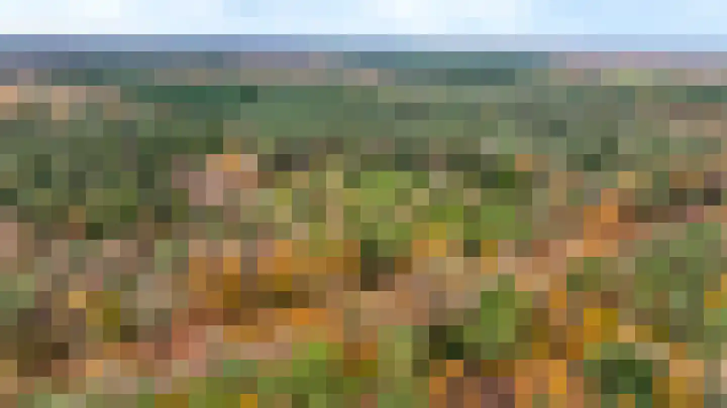 Alteveersweg 30 Boijl thumbnail 77