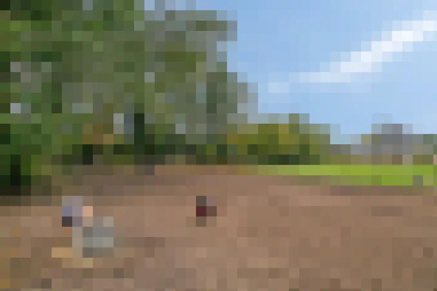 Alteveersweg 30 Boijl thumbnail 8
