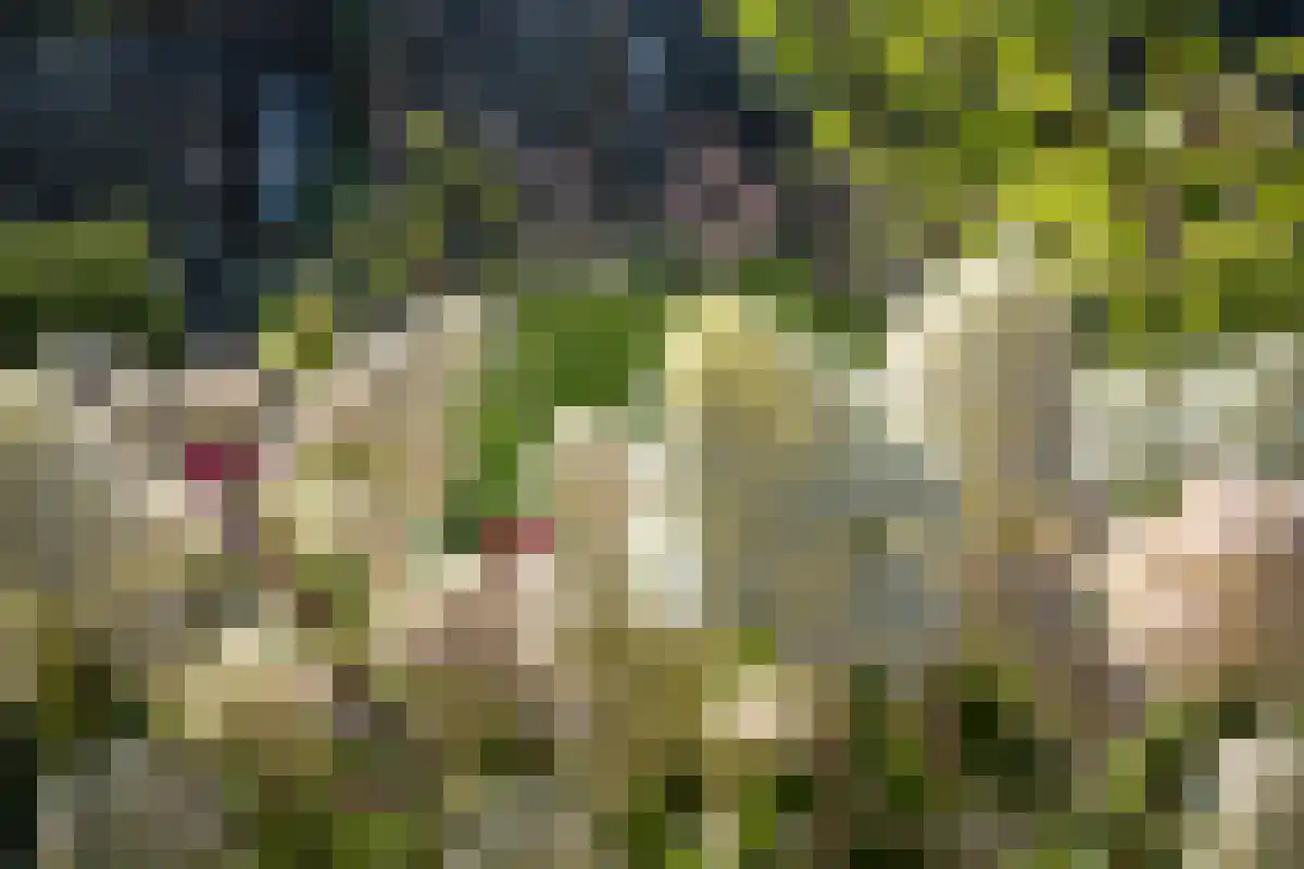 Altgerinkstraat 19 Zwolle thumbnail 4