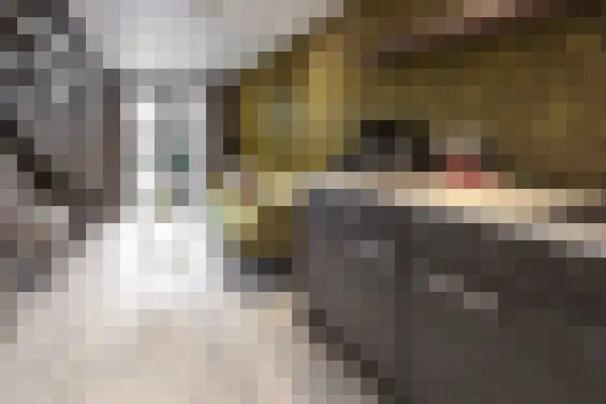 Altgerinkstraat 19 Zwolle thumbnail 5