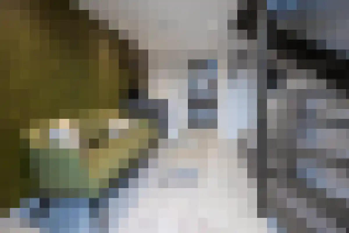 Altgerinkstraat 19 Zwolle thumbnail 6