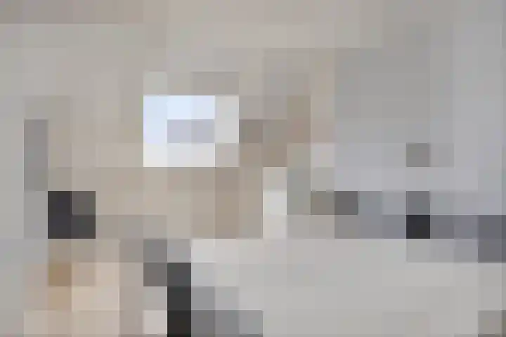 Althuizenhof 5 Boekel thumbnail 23