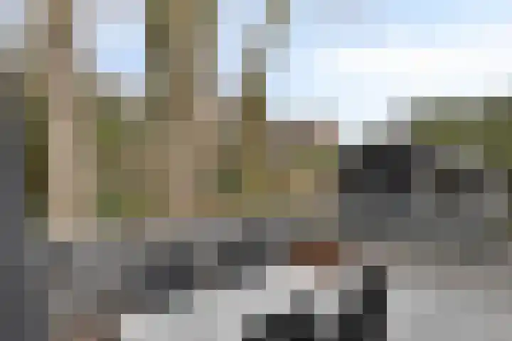 Althuizenhof 5 Boekel thumbnail 28