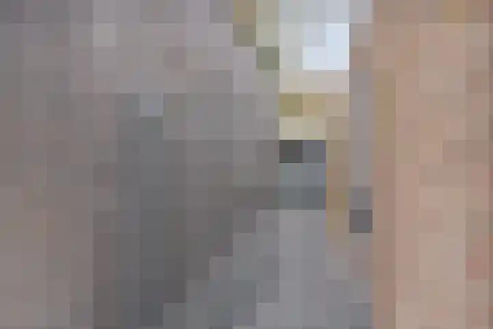 Althuizenhof 5 Boekel thumbnail 30