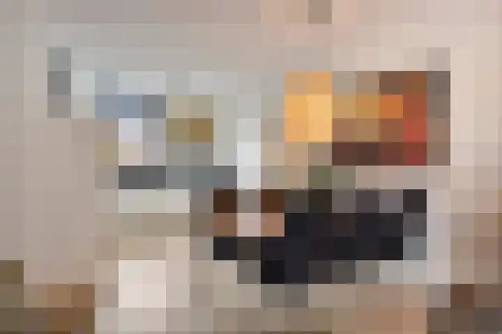 Althuizenhof 5 Boekel thumbnail 4