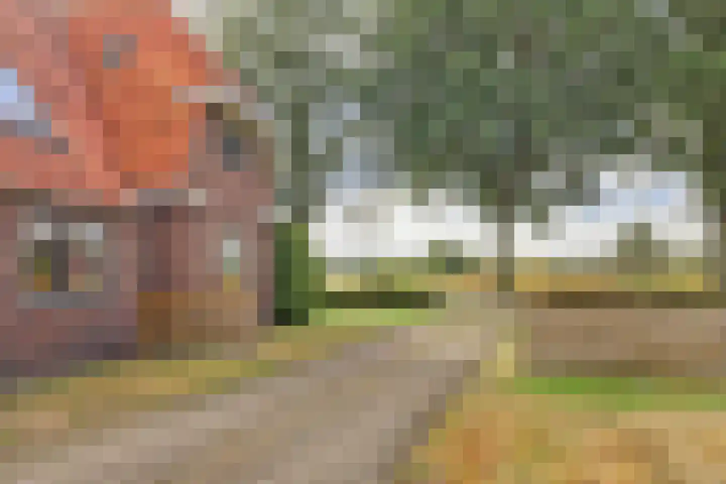 Alting 22 Beilen thumbnail 12