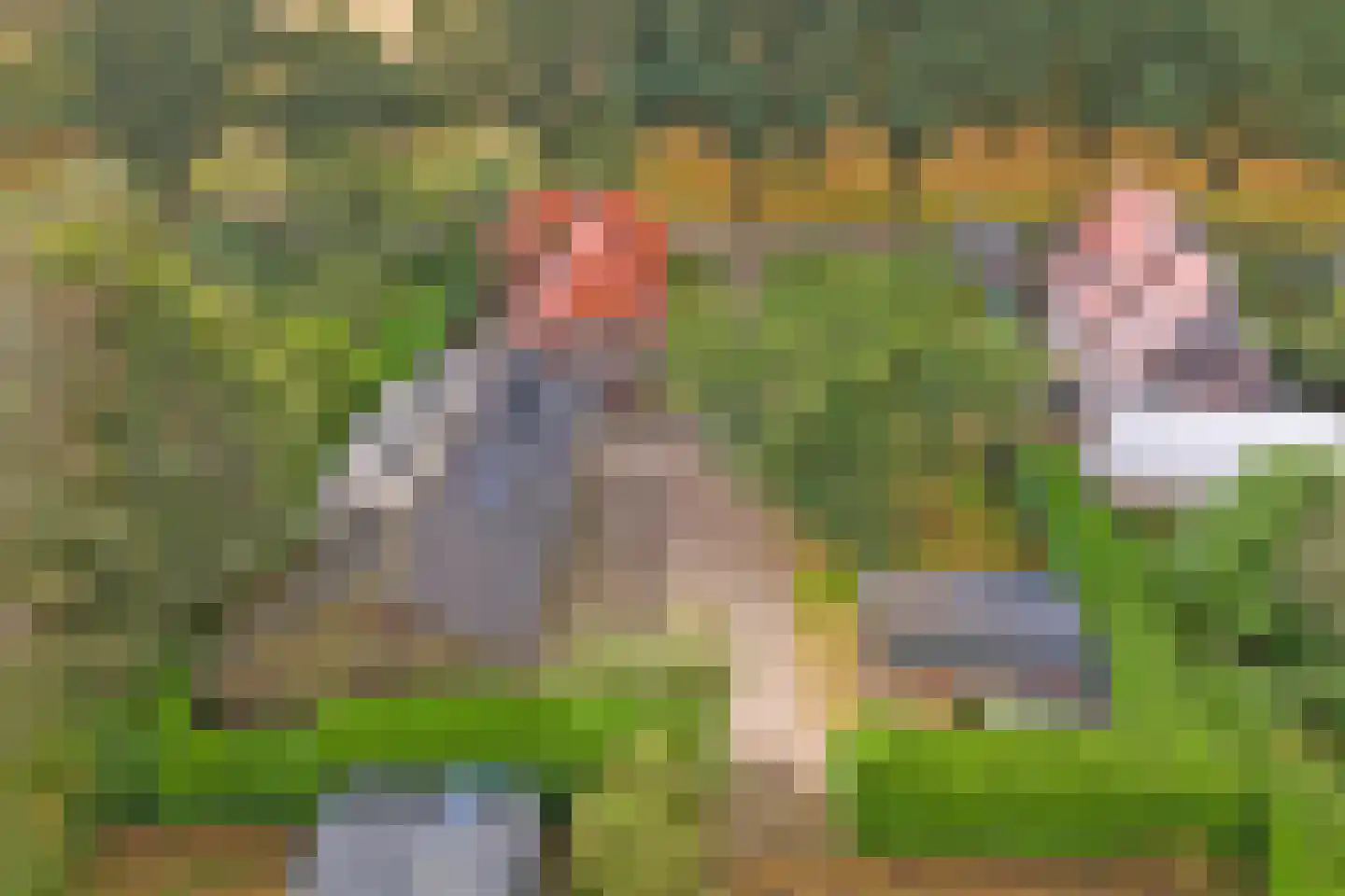 Alting 22 Beilen thumbnail 14