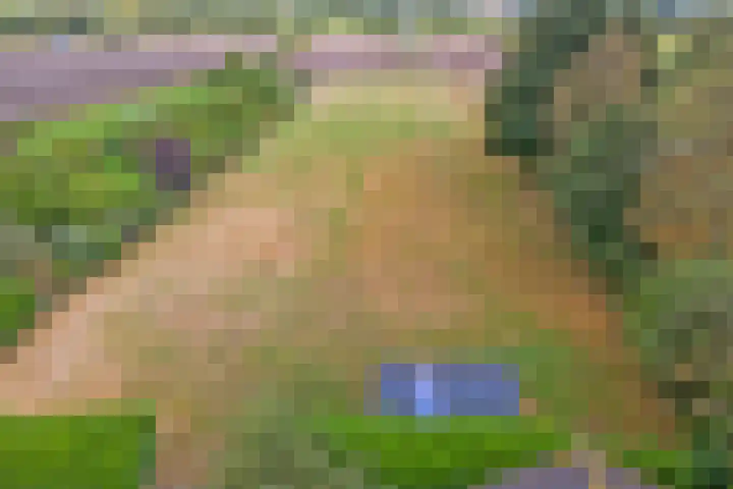 Alting 22 Beilen thumbnail 15