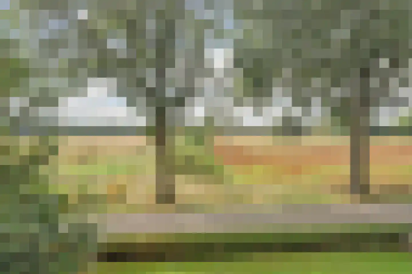 Alting 22 Beilen thumbnail 17