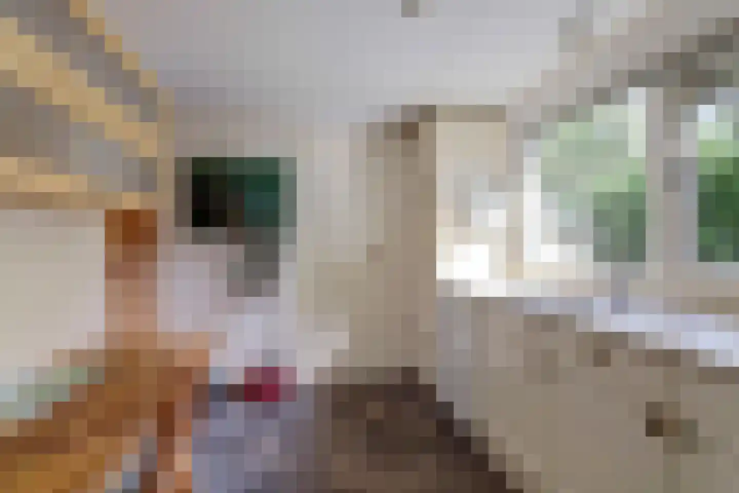 Alting 22 Beilen thumbnail 27