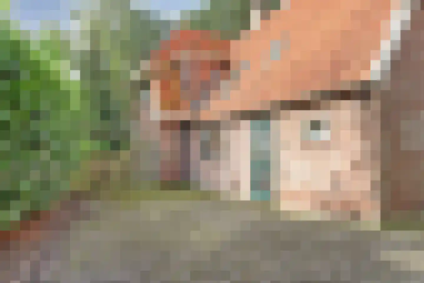 Alting 22 Beilen thumbnail 50
