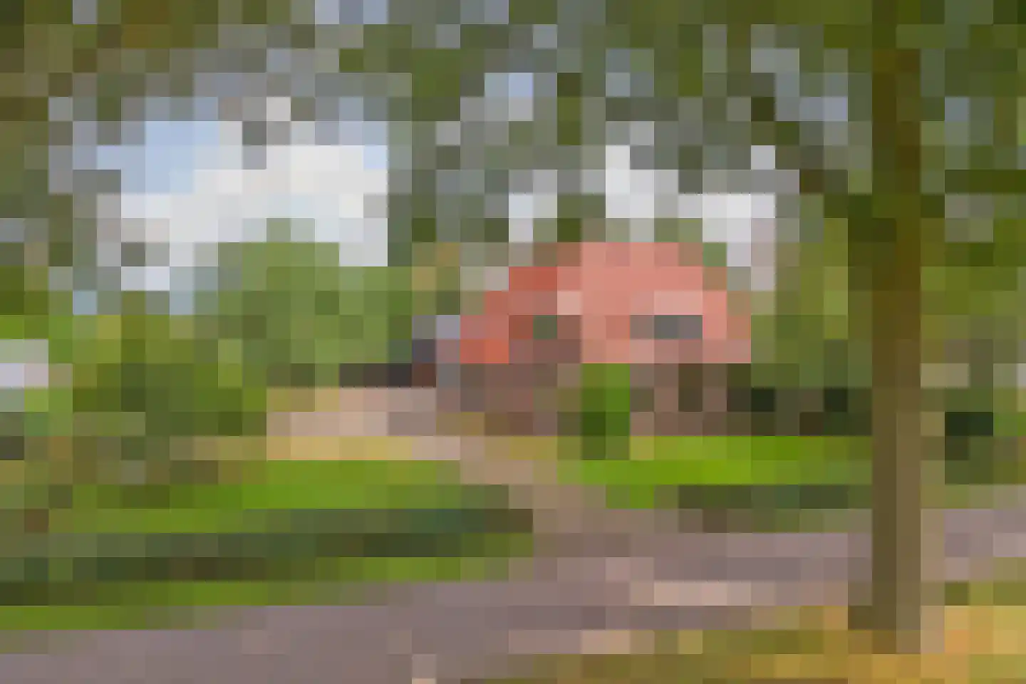 Alting 22 Beilen thumbnail 59