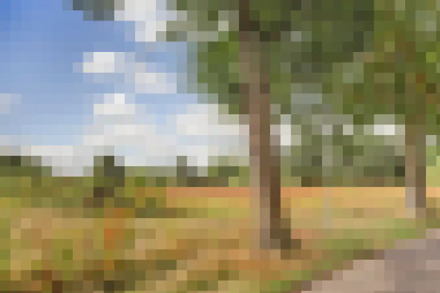Alting 22 Beilen thumbnail 8