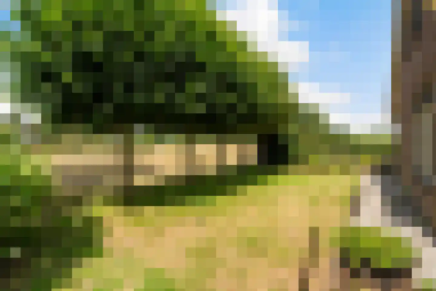 Alting 25 Beilen thumbnail 33